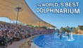 /album/loro-parque/showfotodelfin-en-jpg/